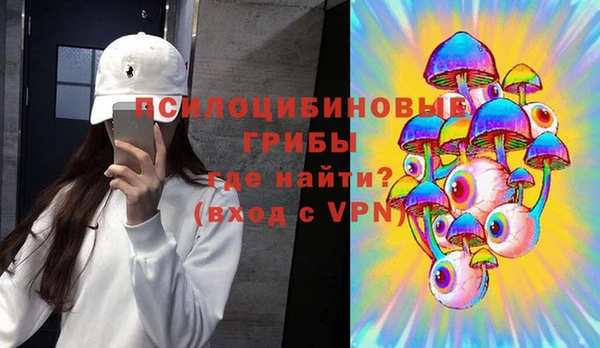 ешки Белокуриха