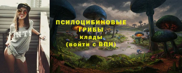 ешки Белокуриха